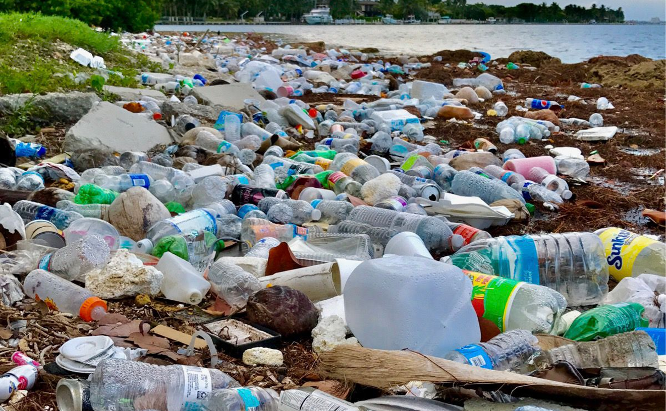 You might just as well call this an artist's conception of Miamians' recycling practices.