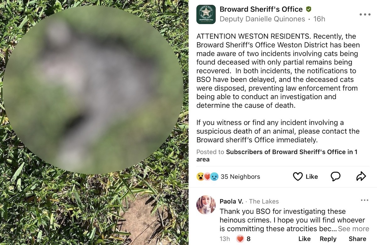 A wildlife expert says the recent mutilations in Weston were likely the work of at the hands of a fellow nonhuman member of the animal kingdom.