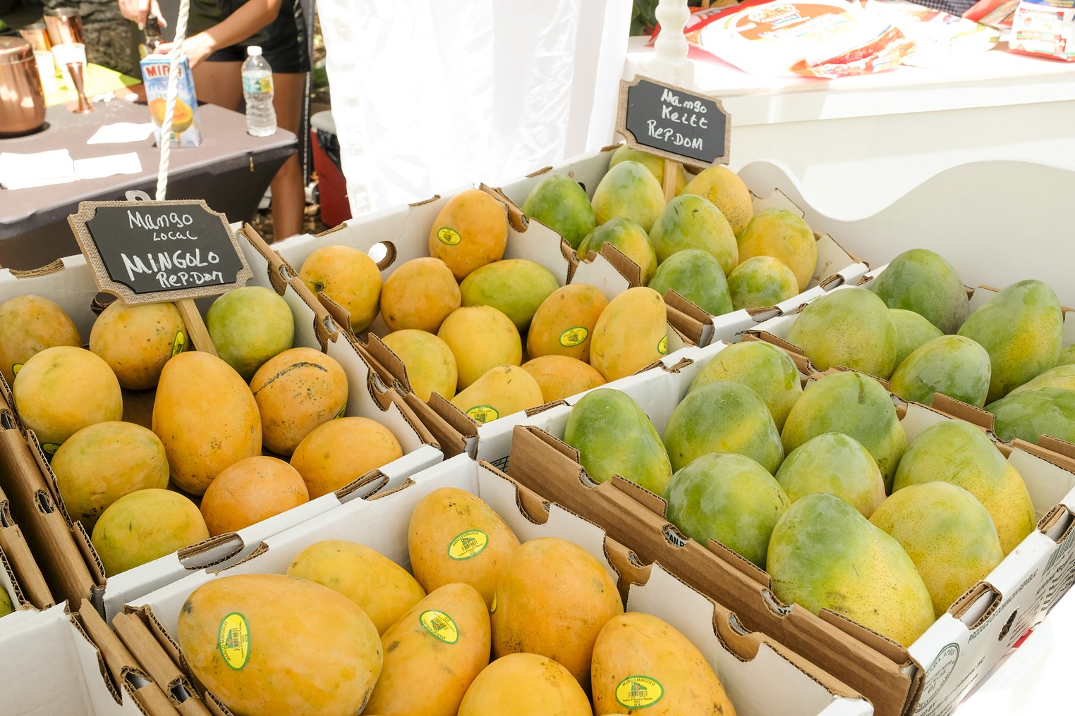 Is It Legal To Pick Mangos Off Your Neighbor s Tree Flipboard