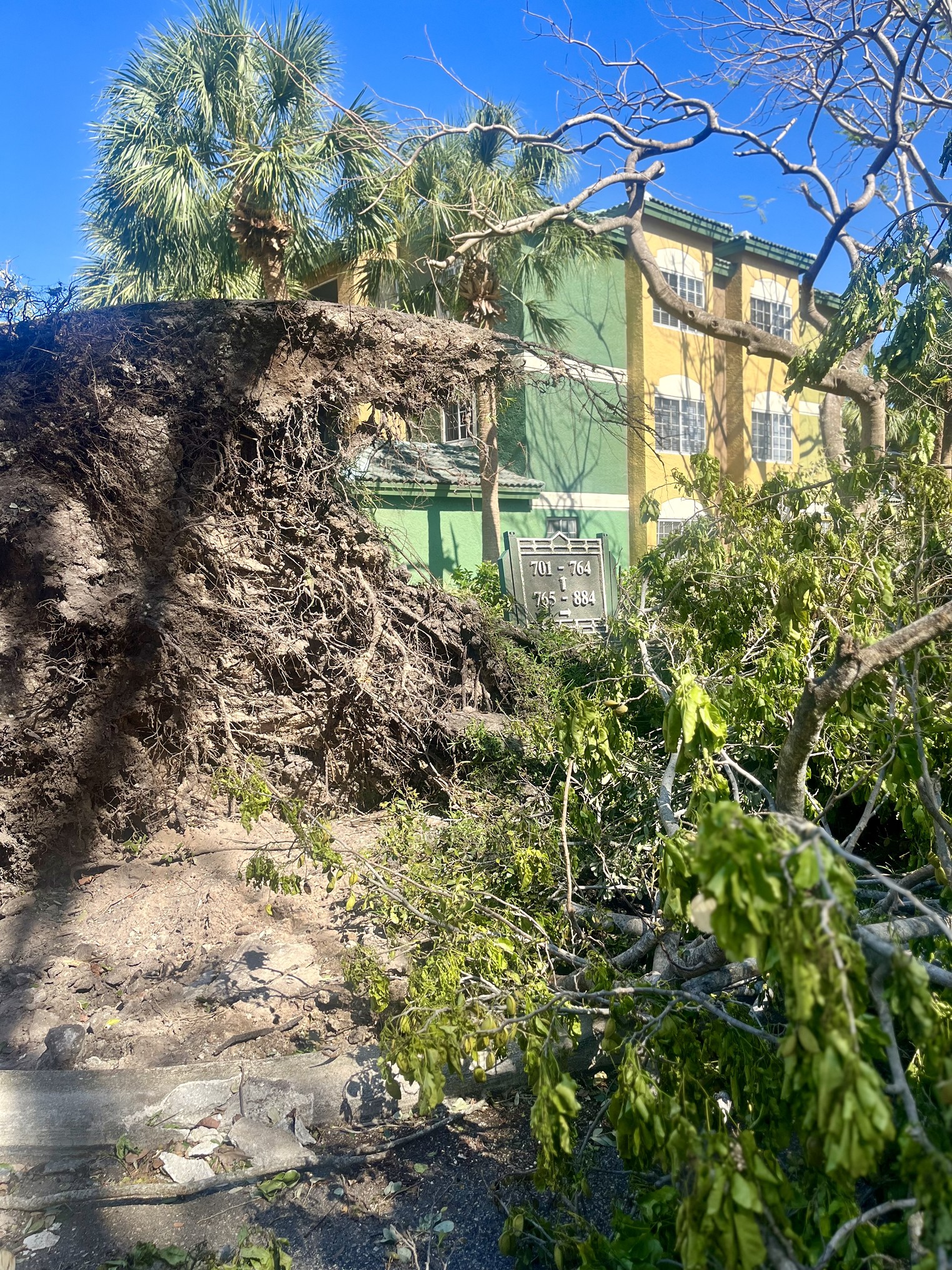 Residents Narrowly Escape Wrath of Tornado in Palm Beach Gardens