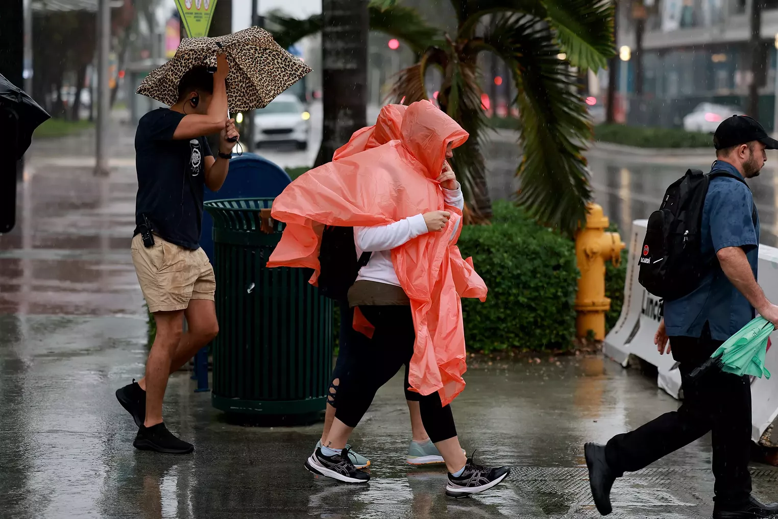 FPL Works to Restore Florida Residents' Power After Storm - Vimarsana News