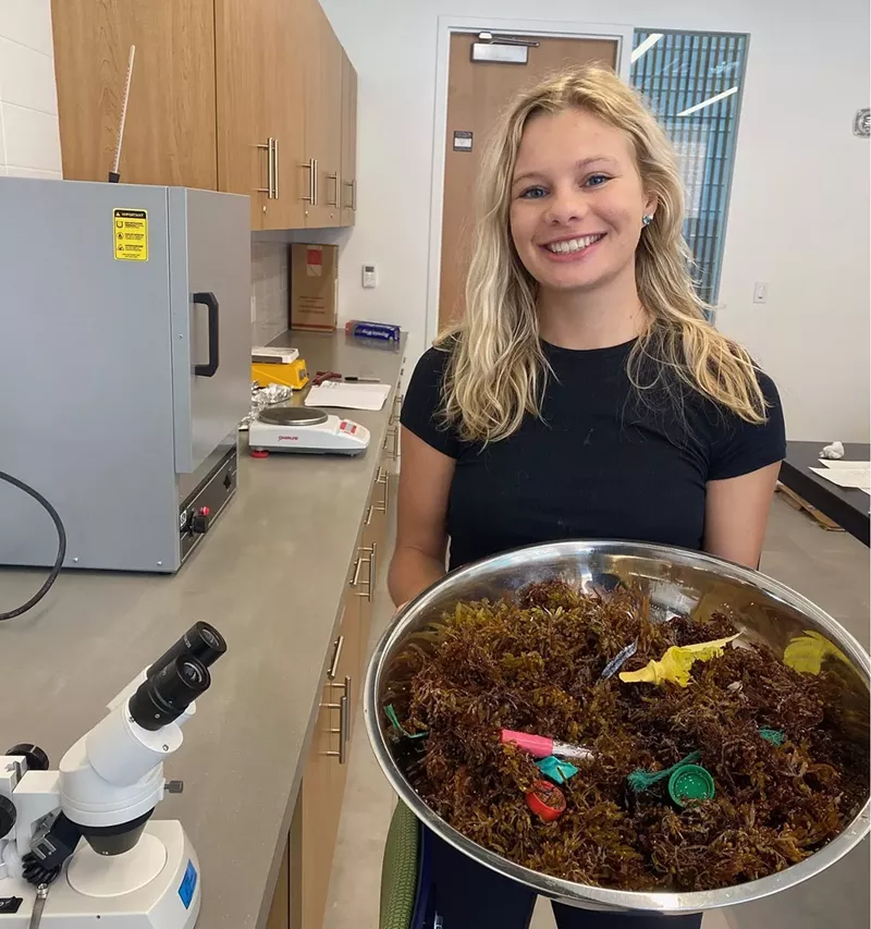 Image: Over the last year, Stetson University student Charlotte Kraft has been looking into how much plastic is ending up in the sargassum washing ashore on Florida beaches.