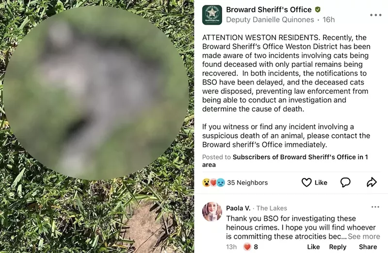 Image: A wildlife expert says the recent mutilations in Weston were likely the work of at the hands of a fellow nonhuman member of the animal kingdom.